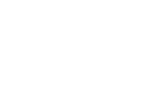 Беговое полотно для Torneo T-160M Forma